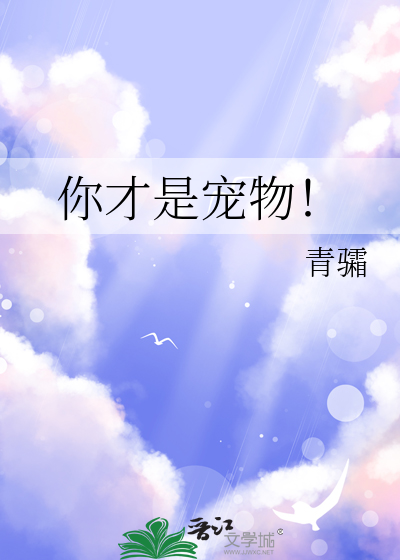 你才是宠物！