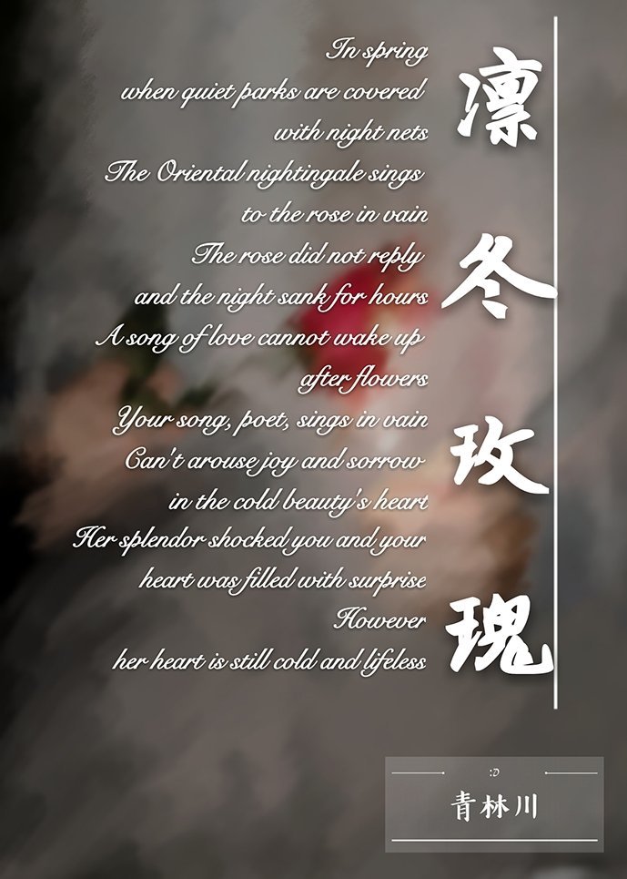 [冬兵]凛冬玫瑰