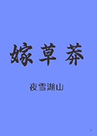 嫁草莽小说在线阅读笔趣阁