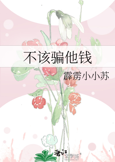 不该骗他钱